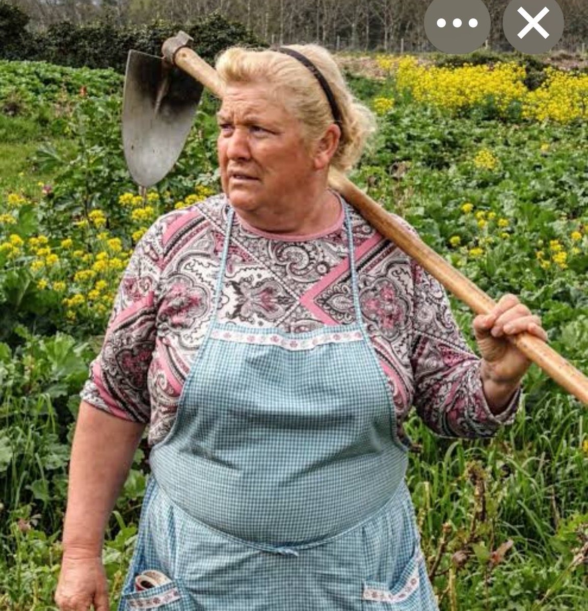 ajallos17's tweet photo. @realDonaldTrump American maga morons did not elect you to be the First Lady running around picking out colors and patterns for your extremely terrible remodels to our Country! Put your big boy pull up on and handle the economy! Americans are hurting #dnc  #trumpbitch #msnow #deadlinewhitehouse