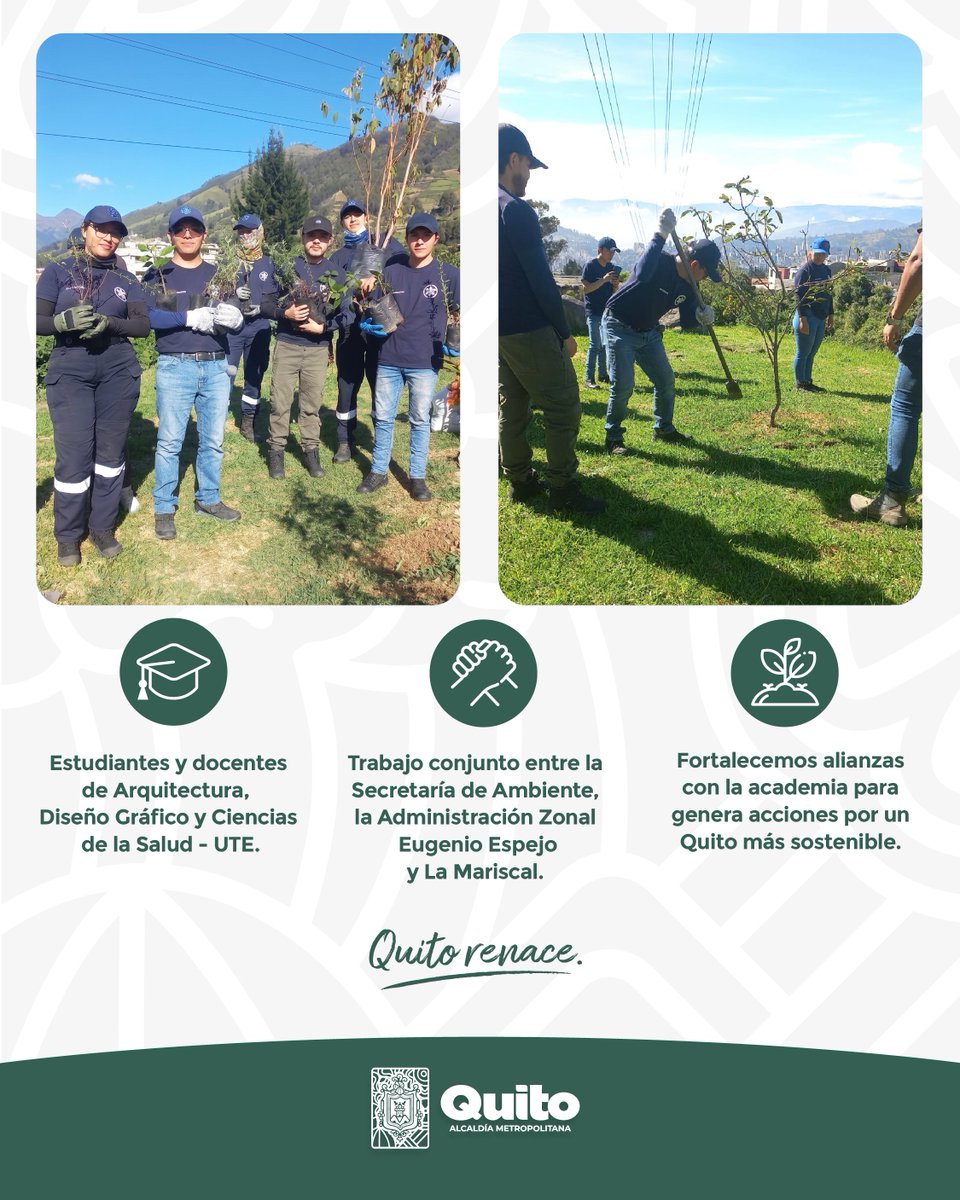 ambientequito's tweet photo. 🌿 #QuitoMásVerdeQueNunca | Demostramos que la corresponsabilidad ciudadana y las alianzas con la academia dan resultados reales. 

🤝Junto a los estudiantes de la @UTEoficial, recuperamos una sección de la Quebrada Rumipamba. 

🌱Plantar árboles nativos es unir esfuerzos en un mismo frente por un Quito más resiliente. 

#QuitoRenace
