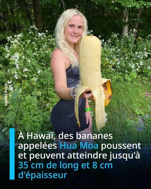 79Stef's tweet photo. @CanDIY___ @Sweet_SpicyBis 🤣🤣 https://t.co/eQqfRpreVx
