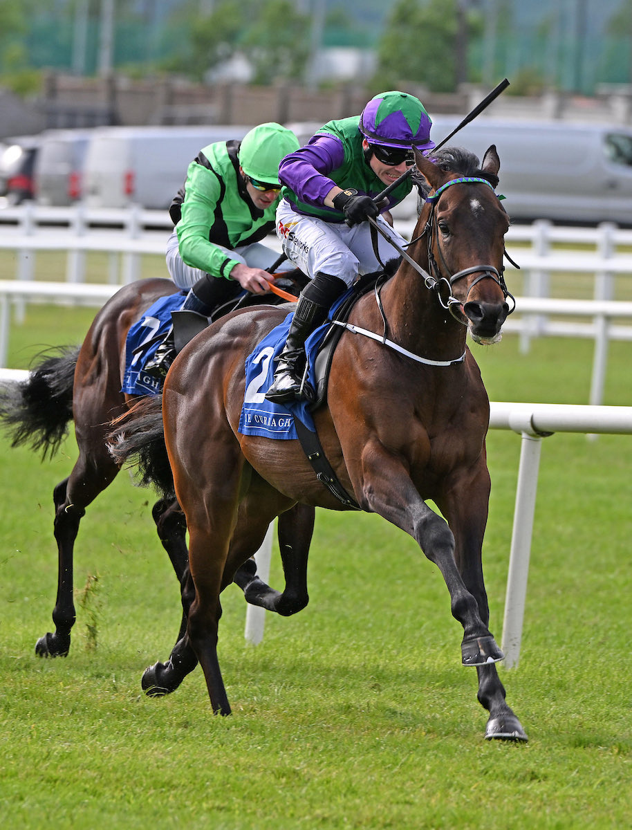 Shadwell_EU's tweet photo. 🥇#MOHAATHER’s CELERON‼️🚀

🗣️“He’s a good horse and he’s won like a good horse. Jamie said he was pricking his ears at the line. I’m one of the very few trainers that’s delighted to see the new conditions of the Windsor Castle…he’ll probably go there.” - @MDOCallaghan to @irishracing 🙌🔵⚪️
