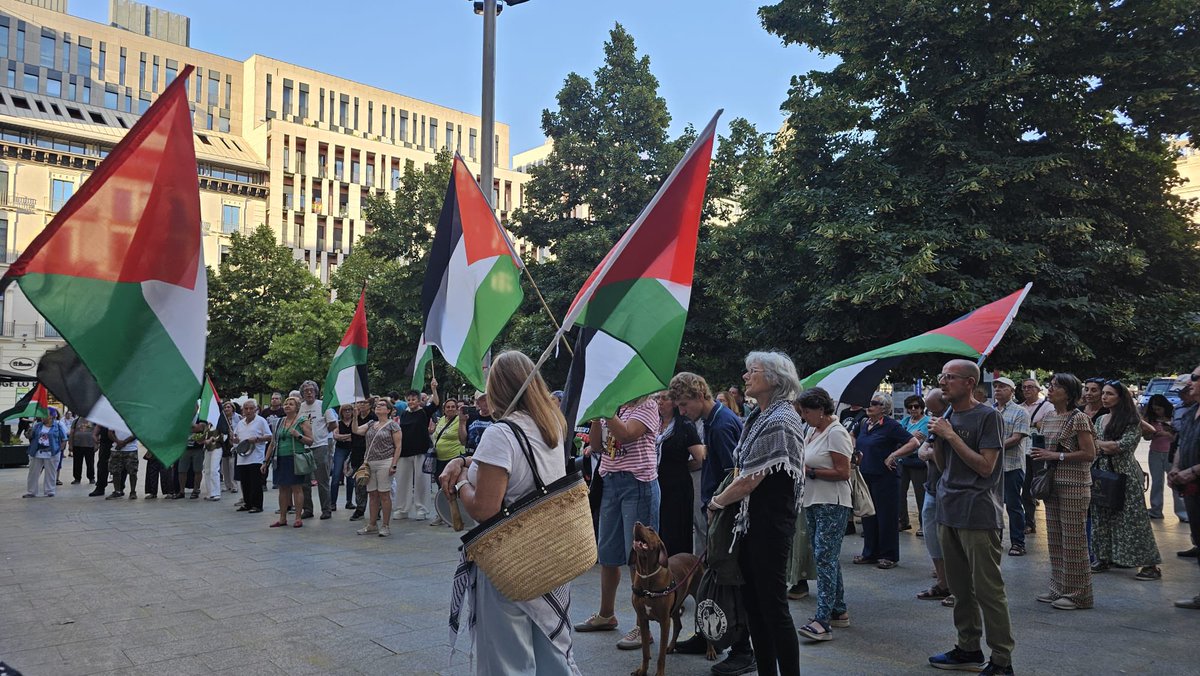 Casapalestina_'s tweet photo. Gracias, un miércoles más, a todas las personas que habéis estado hoy en la Plaza de España. Vuestra presencia demuestra que, frente a la impunidad, la solidaridad sigue viva.
Seguiremos alzando la voz por Palestina, la justicia y la libertad. https://t.co/gidKgncJr2