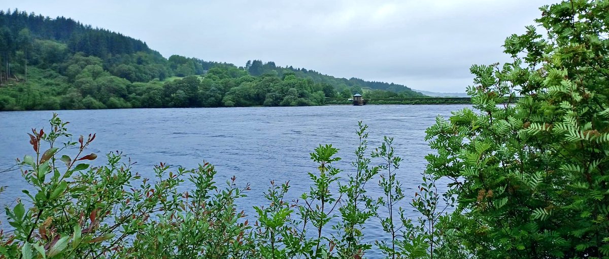 Jane__Ferguson's tweet photo. Our circular walk from Taxal, Derbyshire. Along River Goyt to Fernilee &amp; Errwood reservoirs. Highlight: Dipper &amp; Common Cow-wheat. 03/06/2026 https://t.co/WS46lIgInn