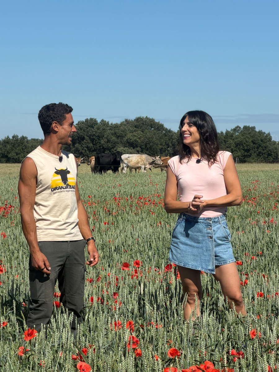 sodebur's tweet photo. Hoy hemos recibido de nuevo la visita de nuestros amigos de @aquilatierratve.

En esta ocasión han conocido de cerca los proyectos de Granja Zael y @ArtlanzaQdA, situados en la zona de Arlanza.

#ProvinciadeBurgos #BurgosOrigenyDestino https://t.co/Bs6op7ncn1