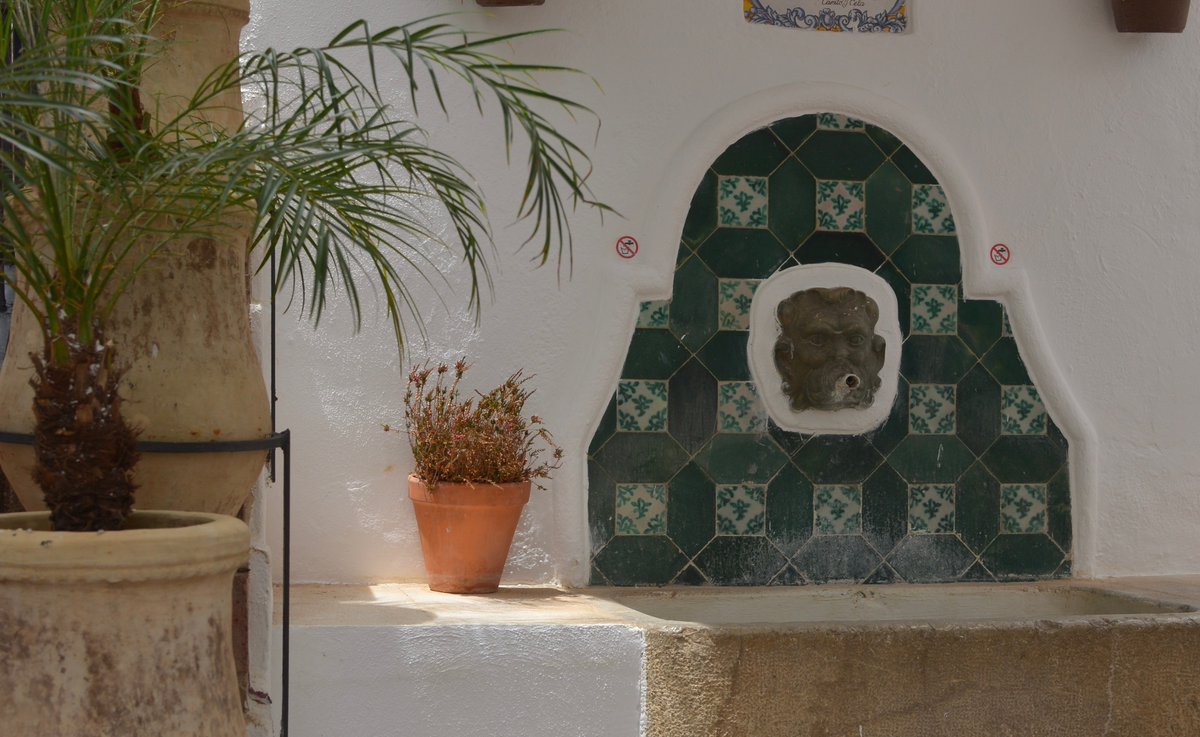 AlainAlaily's tweet photo. I wasn’t photographing the fountain. 

I was following the light.

It led me here: to weathered stone, green tiles and a lion guarding a silence older than words.

Sit nearby, settle within.

The secrets reveal themselves in their own time.

#FollowingTheLight
#Photography https://t.co/IghyNyGVcI