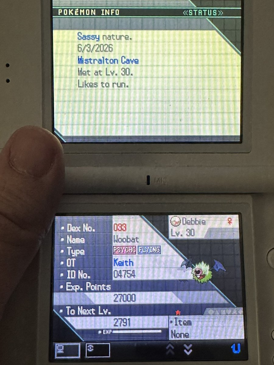 lumitora's tweet photo. ✨Shiny 20% Woobat after 984 encounters, 246 encounters on the file that found Boldore. Level 30 Repel Trick makes this 20%, never thought I would see it. Insanity. Phase 2 for Axew. https://t.co/rsRYybtUBc