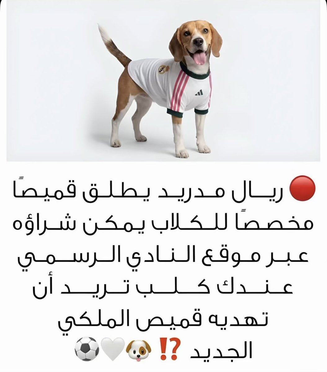 FCB_ENG7's tweet photo. في حال ما ضحكت اليوم:
ريال مدريد 🤣 https://t.co/pa1Kcol4aL
