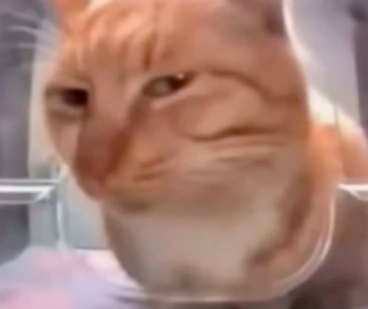 supperFireCat's tweet photo. @Extraawesome12 I knew you were an Oompa loompa https://t.co/ysZTrSqrGY