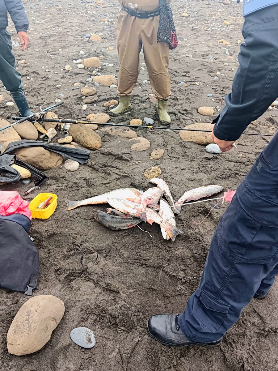 maritgobvld's tweet photo. FISCALIZACIÓN PESQUERA #Araucanía.- El día 02 de junio, personal de Policía Marítima de la Capitania de Puerto de Carahue, realizó un patrullaje en las playas Boca Budi y Maule de la Comuna de #Saavedra, controlando el cumplimiento de la Ley 20.256 que regula la pesca recreativa. https://t.co/IAYtPzt2bK