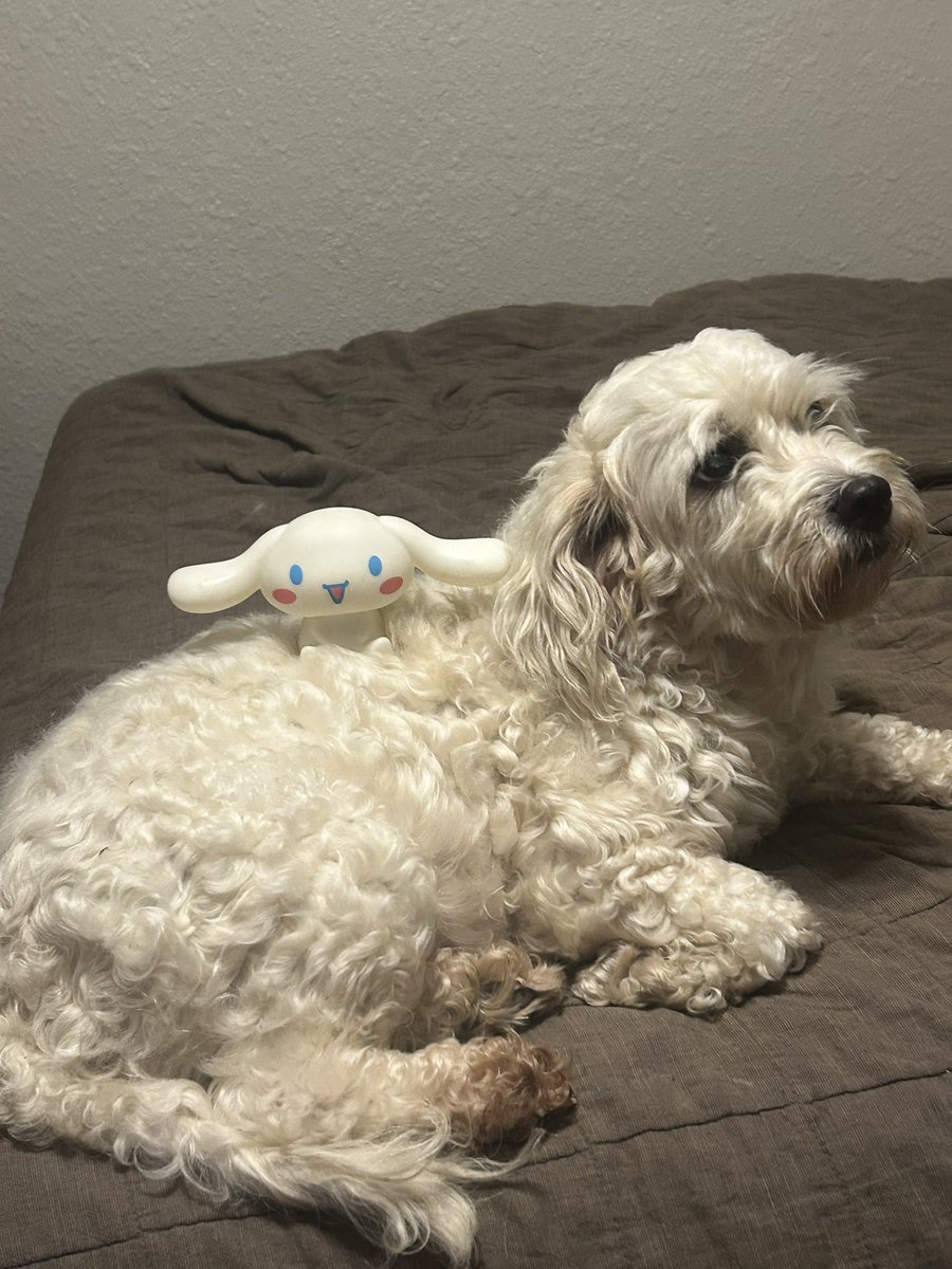 lytchell's tweet photo. i love you forever my sweet girl. thank you for every way you make my life better. happy birthday Sega Dreamcast 💜 https://t.co/mUdVB27MDp