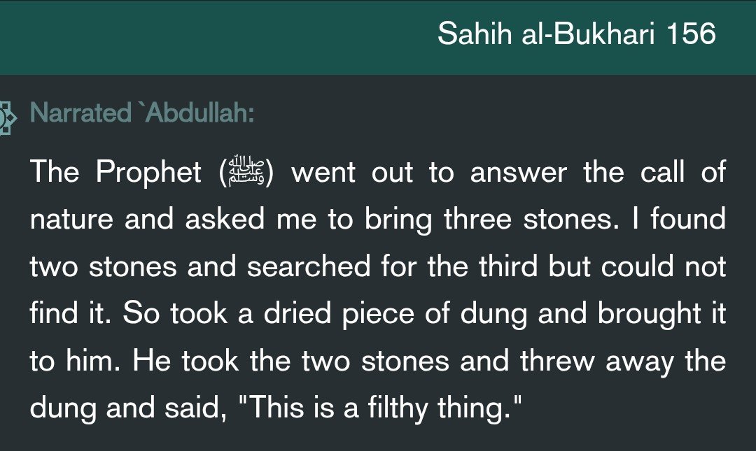 NateBornAgain's tweet photo. Is Muhammad shoving 3 stones up his 🍑 a sin? https://t.co/r0CE6CrGcn