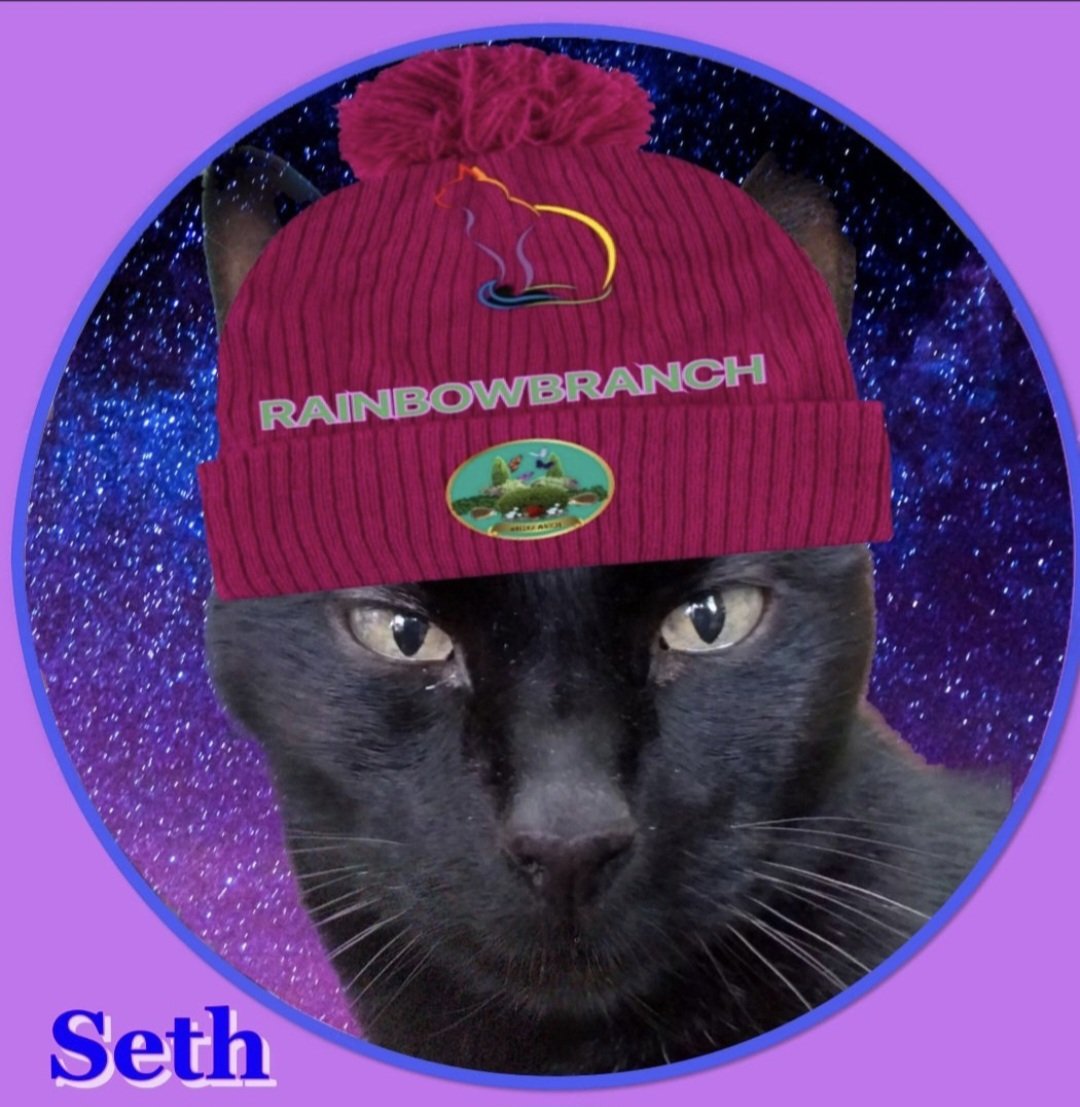 weegiemogs's tweet photo. @Hedgewatchers @TayTayFan500 Welcome Jasper, great to meet you! We are Noah, Cosmo and 🌈Seth in Glasgow 🏴󠁧󠁢󠁳󠁣󠁴󠁿 😺🐾🐾🐾 https://t.co/sYRJJKwZev
