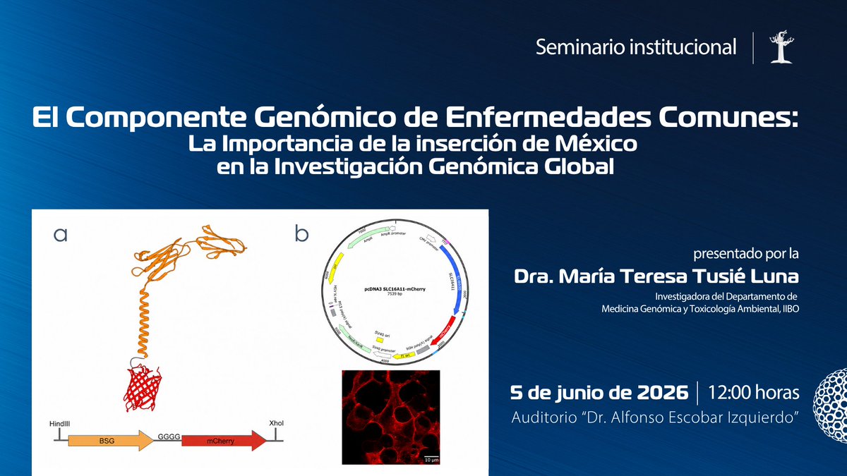 biomedicasunam's tweet photo. Mañana #NoTePierdas el  #Seminario Institucional: El Componente Genómico de Enfermedades Comunes: La importancia de la inserción de México en la Investigación Genomica Global, presentado por la Dra. María Teresa Tusié Luna | #AgendaIIBO

📅5 de junio,  ⏰12h https://t.co/UCo7FZxTdn