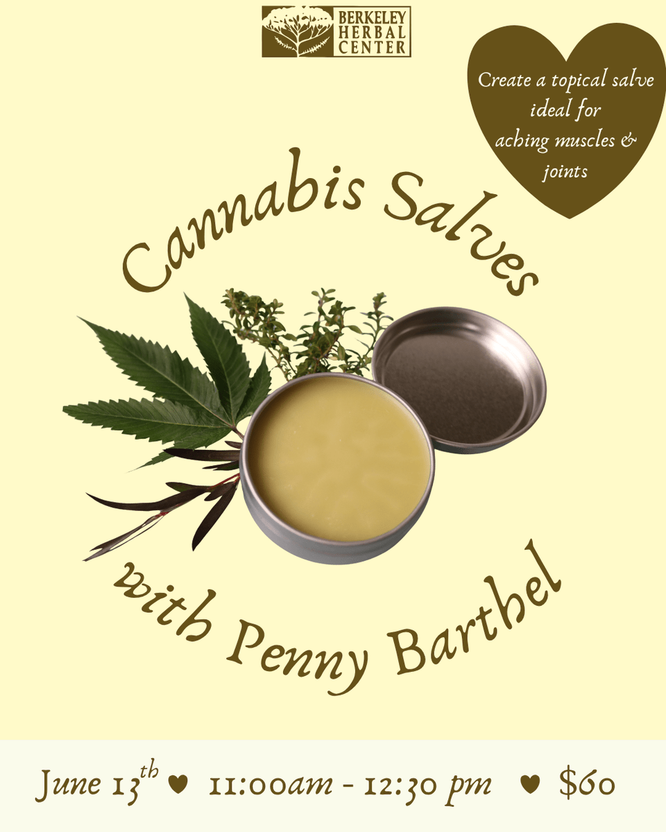 TaplinTerry's tweet photo. Check out what is happening at the Berkeley Herbal Center (1250 Addison Street) in June! 🌿

More Info: https://t.co/sA7V63wU9x

Cultural Herbalism with Shereel Washington
Saturday, June 6 | 11 am - 1:30 pm
 
Cannabis Salves with Penny Barthel
Saturday, June 13 | 11 am - 1:30 pm https://t.co/OrWnUqWstR