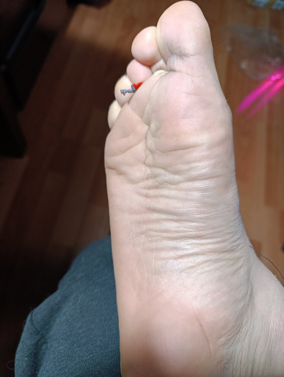Gala_Toes's tweet photo. I found this bug in my room, turns out he was my new roommate haha

I hope he enjoyed his welcome

#giantfeet #giantmale #gayfeet https://t.co/vpcWuyl9Zx