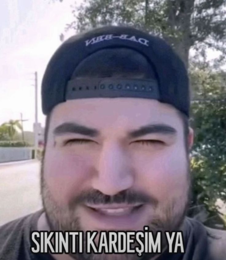 sapho tweet media