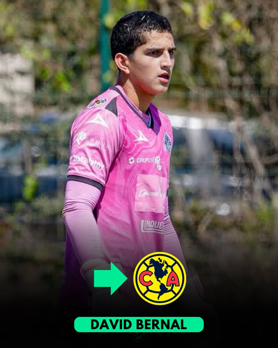 SectorBasicas's tweet photo. ✅ Llego el momento de dar el salto, luego de que Atlante no quiso continuar con las básicas de Mazatlán varios de sus mejores talentos han sido firmados por otras canteras para continuar su formación 

👉🏼 Te dejamos jugadores a seguir que llegan a América y Pachuca https://t.co/jPdiH5ayCC