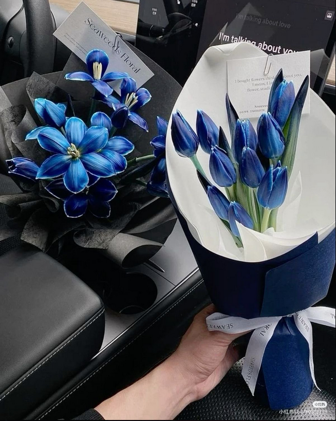 calmlivng's tweet photo. dark blue tulips https://t.co/J5MYtzcK59