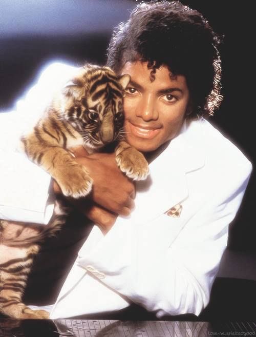 dangerousmikej's tweet photo. michael jackson is for girls who feel safer around animals rather than people https://t.co/Mg3Jgd0MQI