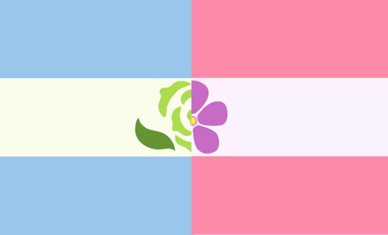 CD_stiel's tweet photo. I honestly think I have the prettiest flags look at them https://t.co/0IozeQ27do