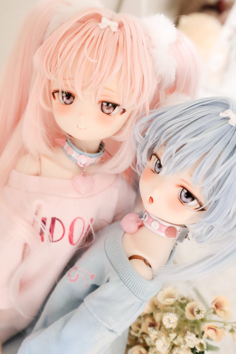 huyu32222726's tweet photo. 宣伝失礼します🩵🩷

6月7日（日）終了予定にて
27番ちゃんたちのお家さがしをすたーとしました❣️

ファンタジーなテーマでも夢かわなテーマでも可愛いおふたりです♡✨

素敵なご縁がありますように♡

🩷 https://t.co/US4uua70M0

🩵 https://t.co/GVsK6MwBKB

#みとねるっ子 https://t.co/7pjD7EYfUj