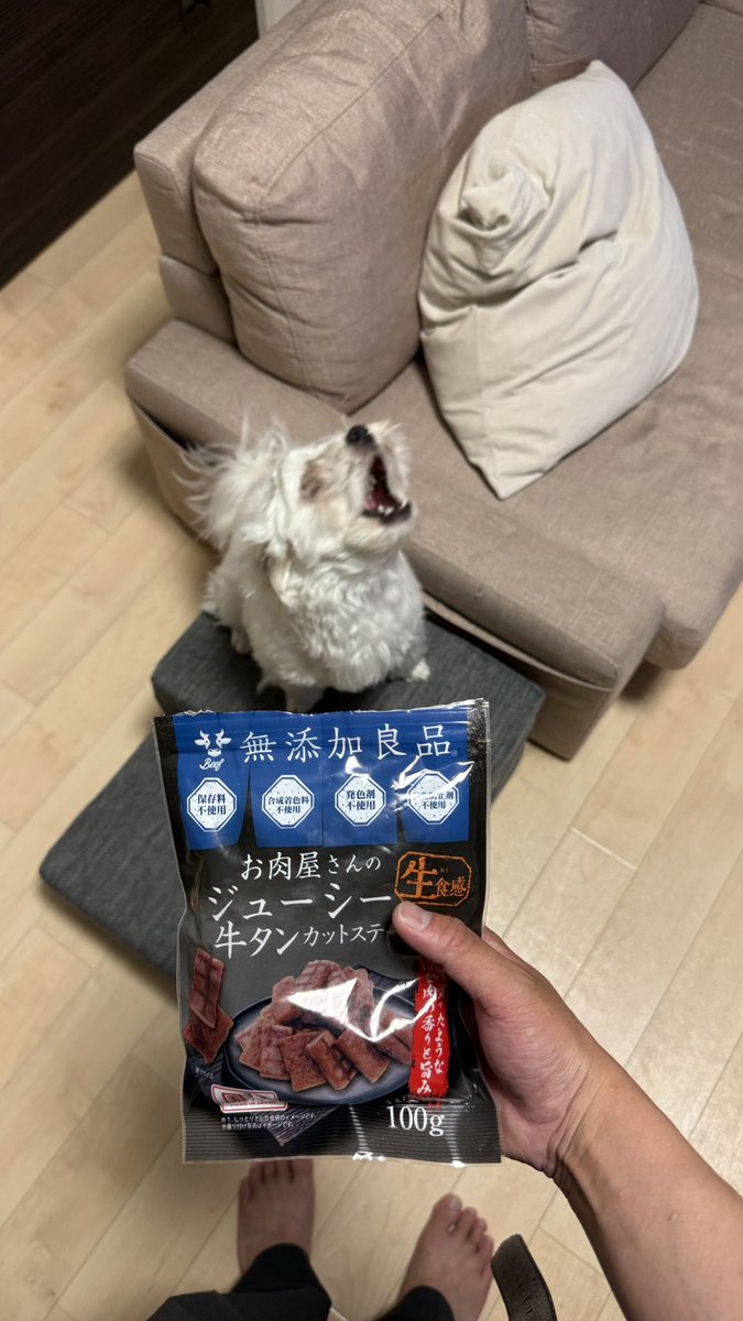 ___s1031's tweet photo. 🐶「俺は牛タンより餃子が食べたいんだよぉ！｣ https://t.co/YWeDhYORYr
