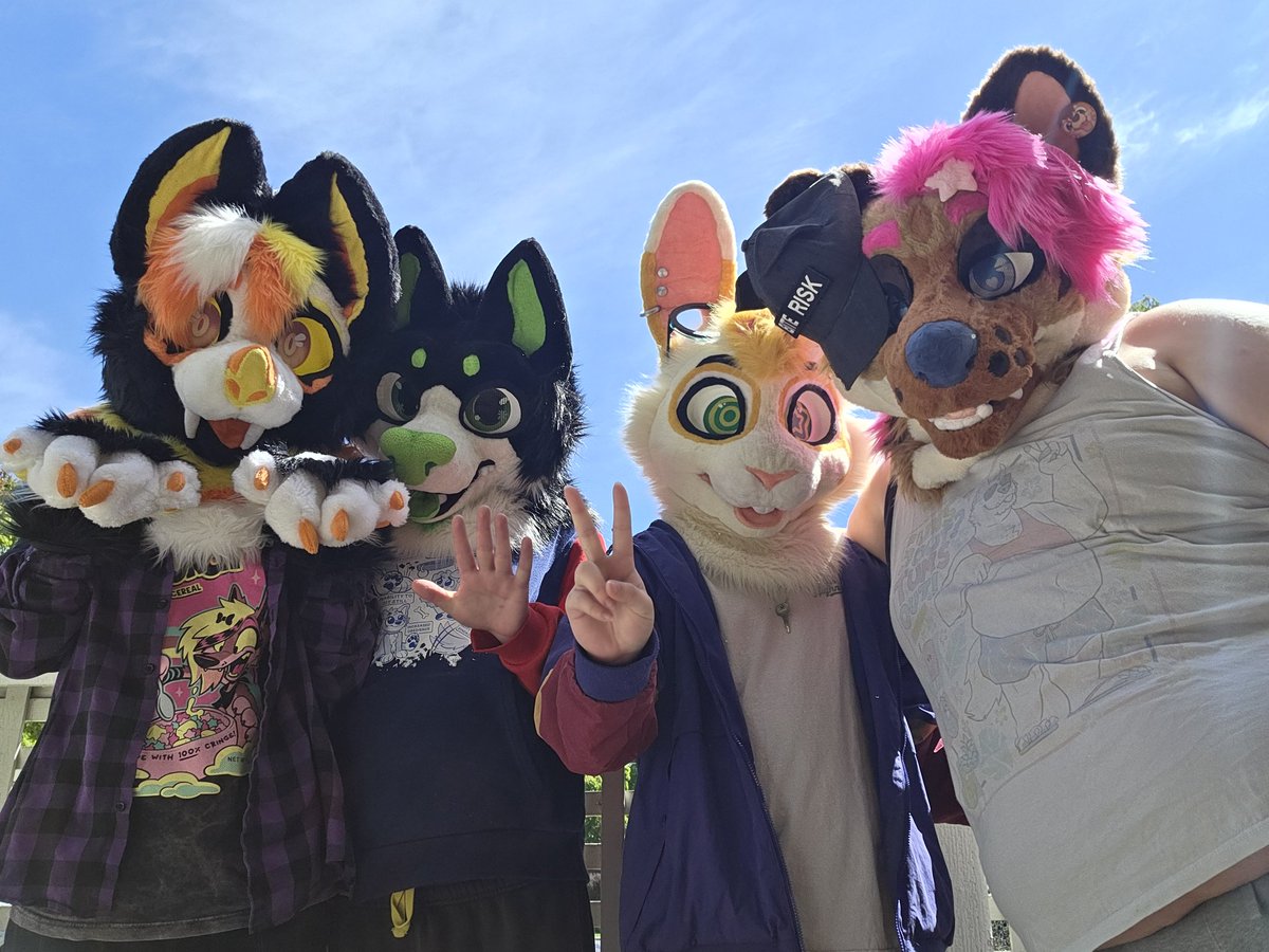 SubuRabbit's tweet photo. Pluh https://t.co/nxPHCOppVt