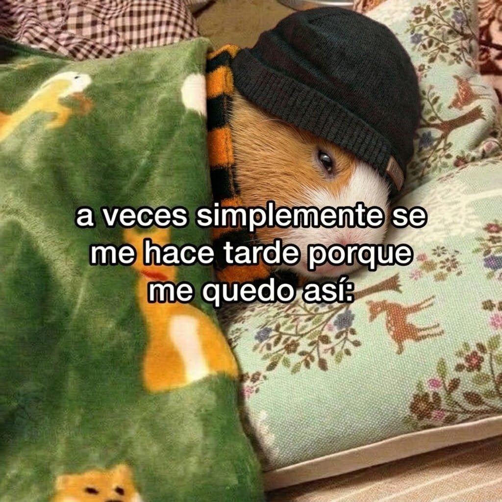 FraseSimple's tweet photo. https://t.co/pp1gZuzQvV