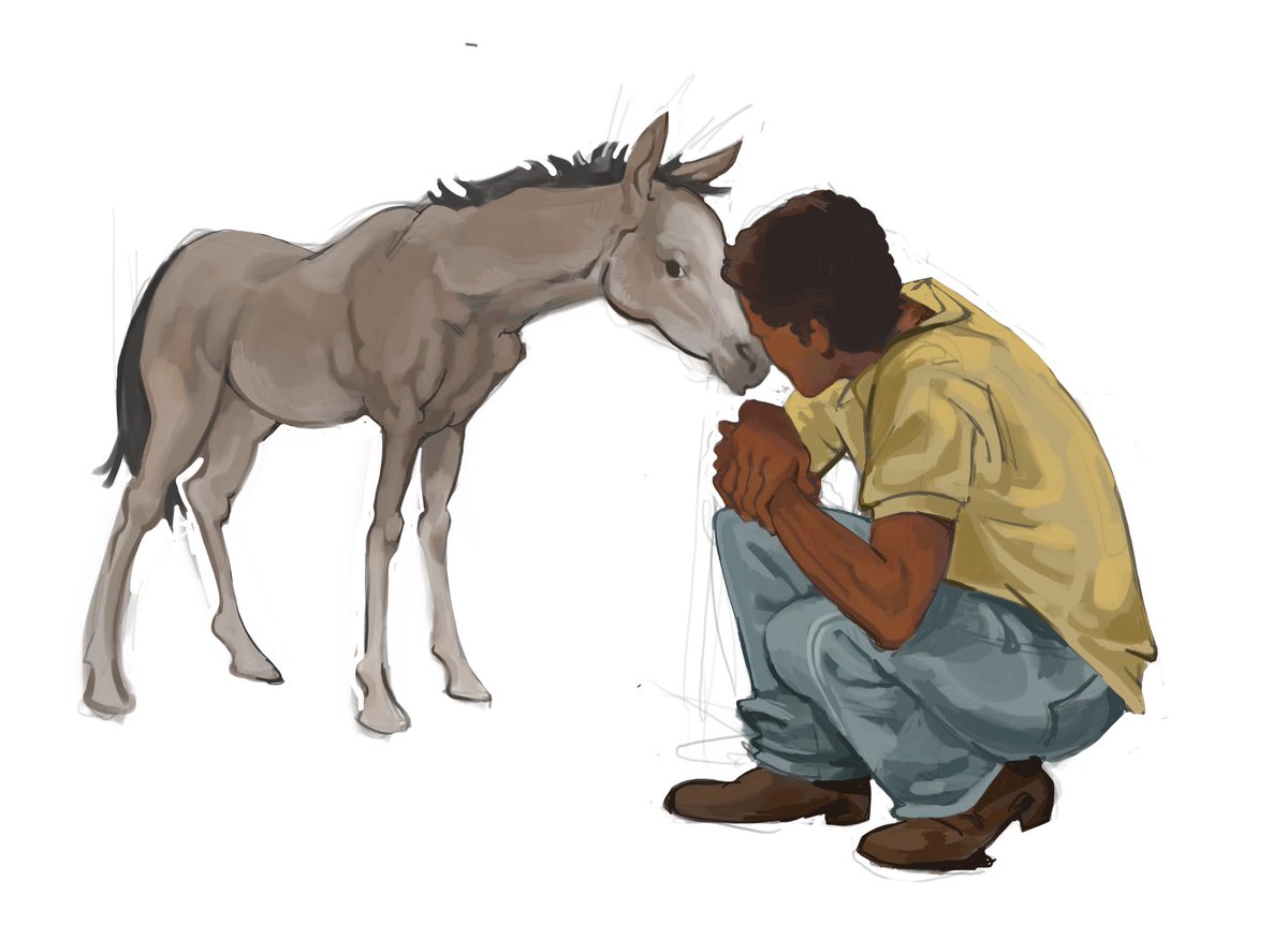 nautieval's tweet photo. #oc horses YAY https://t.co/DgXcR0eXnC