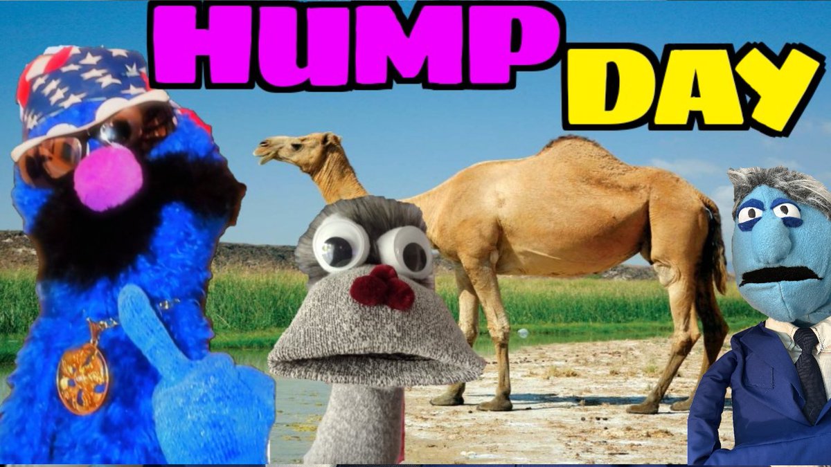 JollyPuppe20868's tweet photo. Hump Day | Hump Around And Find Out 🐫👇https://t.co/QFqbOPK1ov https://t.co/X1yQt3GY4J
