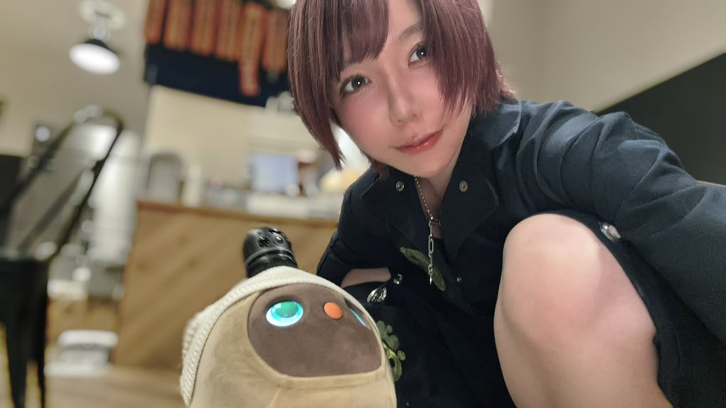 野良いぬ🐶 (@norainu03019) / Posts / X