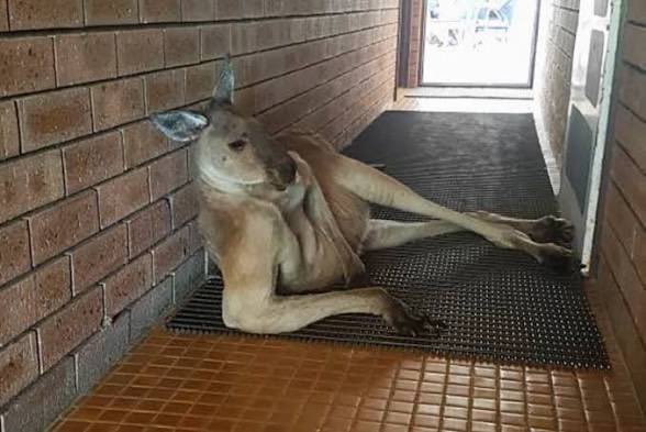 wavruby's tweet photo. i have developments from Thotville https://t.co/RK5JIfuswF