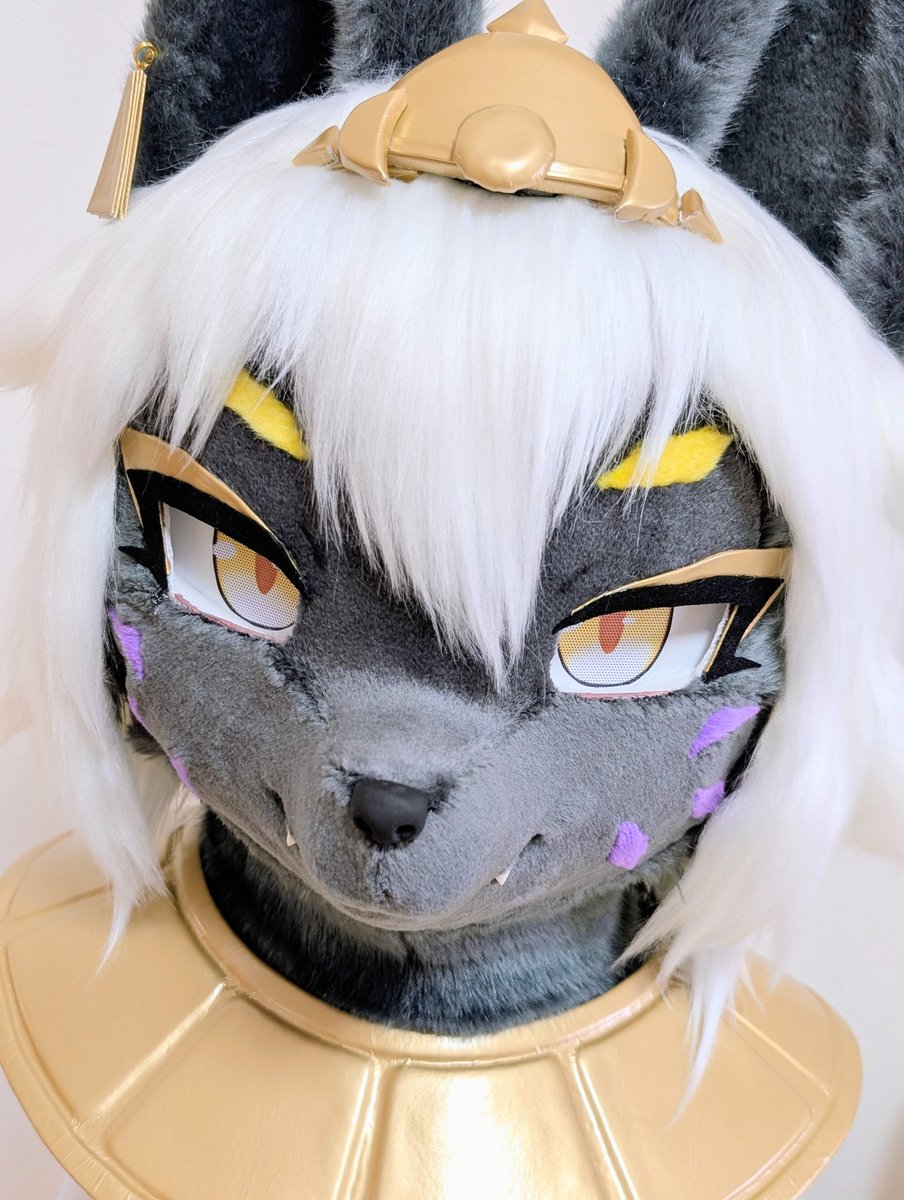 guruguminono's tweet photo. アヌビス神のヘッド完成です！

力強さと美しさのある豪華なお顔になったと思います✨️

デビュー時には是非ボディの腹筋やメスケモらしい曲線美にも見惚れて下さいね⋯？

#GURUGUMI工房 ではキャラクターに合った装飾なども合わせてお作りすることができます💜 https://t.co/E6uJmSJ1f3