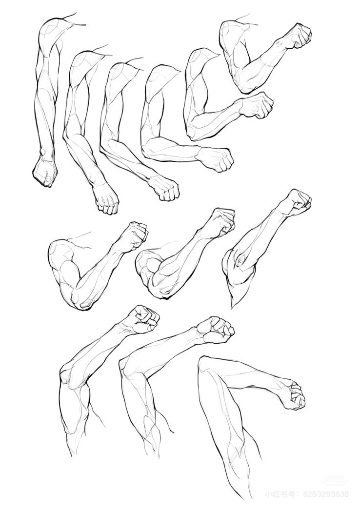 LimboSketch's tweet photo. Arm movement study you can do now https://t.co/KeXpdCnAQG