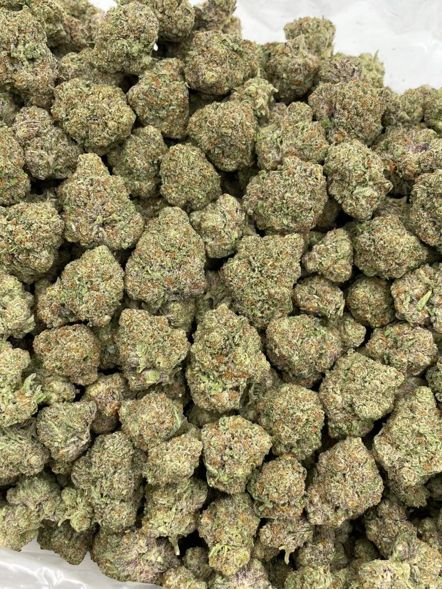 TherealplugLS's tweet photo. ⬆️ Raspberry Kool-Aid mixed lights 
Bomb indoor passables with a perfect trim job and a frosty cure! Nice pyramid shaped buds with color and a sweet but gassy kool-aid nose 🔥 #atlplug #atl #atlweed #mobile #plugatl #atiza
#zaza #Atlanta #atlweedman #decatur
#downtownat| #atlmeets #redan
#stonemountain #gsu #clarkatlanta #lithonia