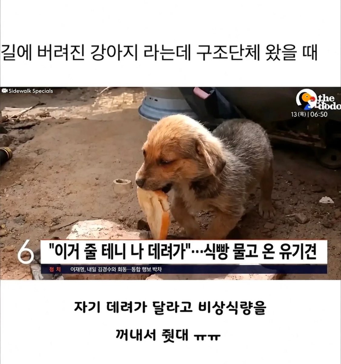 수철이 tweet media