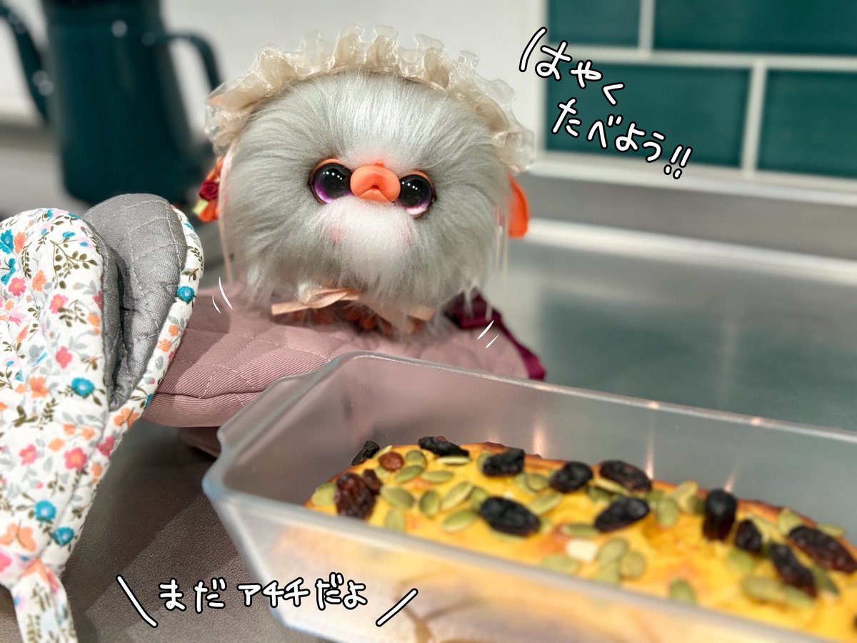 Redy_wolf's tweet photo. 焼き上がった途端にすっ飛んでくるお桃🍑💨
本当はホイップクリーム🍰鬼食いしたいけど、大好きな作家様や推したち🫶🏻に弛んだ姿を晒したくないので💪🏻(   ‘ᾥ’ ;  )❤️‍🔥
砂糖バター不使用グルテンフリーの🎃おからパウンドケーキ🍴 https://t.co/LUz2HMDtuJ