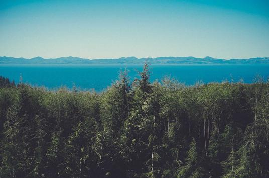 hayanahancu's tweet photo. A shooting star has its world rocked by trees (or rocks). https://t.co/eF3SN8pRcc