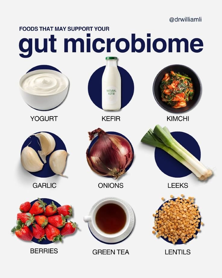 monitoring_feed's tweet photo. Foods That Support Your Gut Microbiome: https://t.co/xJge1DbGl6