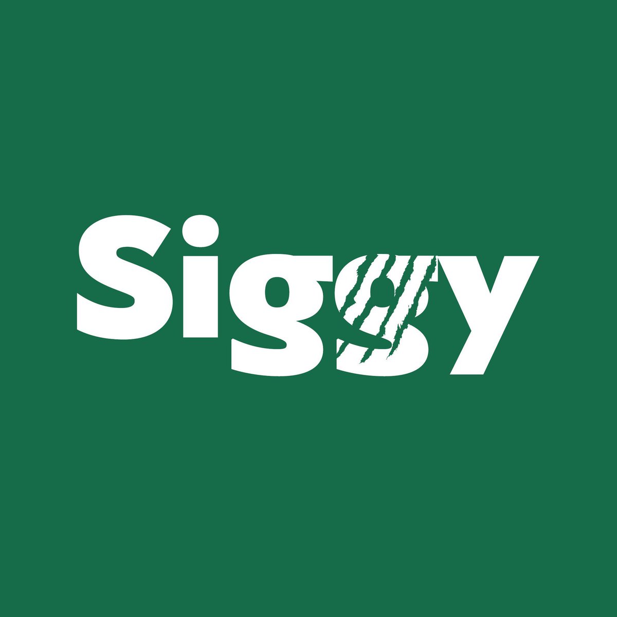 web3_assest's tweet photo. Siggy is all I need. https://t.co/TEXLZT1QHT
