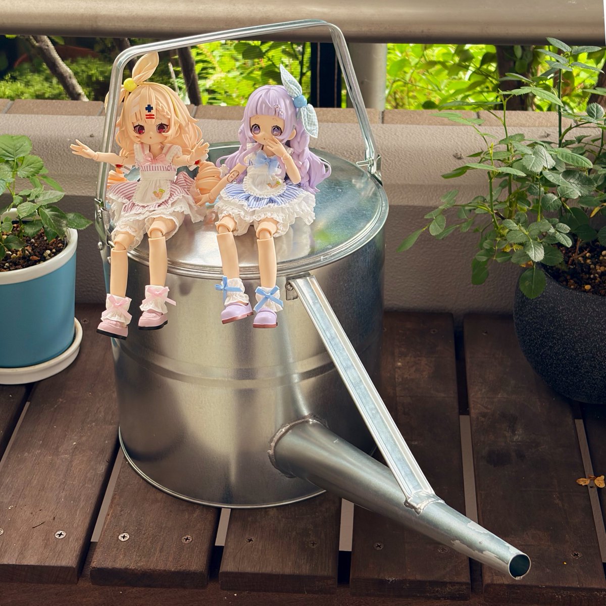 necoraw's tweet photo. 今まで4ℓ酒ペットボトルで風呂の残り湯を運んでだけど、水やりが丁寧で確実な水やりが可能になって楽しいし、水汲みも楽、往復回数が減りました。9ℓトタンジョウロです。 https://t.co/OFWf6QcnXr
