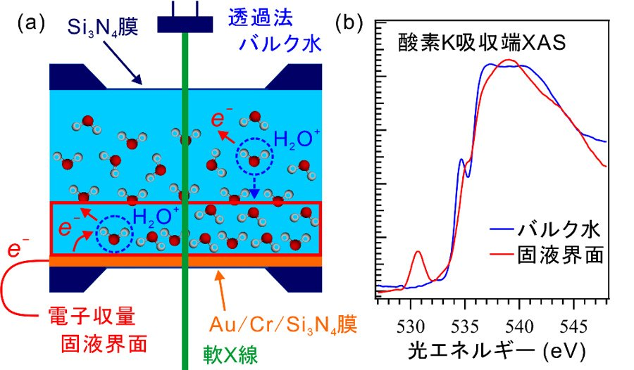 IMS1975's tweet photo. 【プレスリリース｜Journal of Synchrotron Radiation】 
軟X線吸収分光法による固液界面とバルク液体の同時測定を実現
－触媒反応の詳細なメカニズム解明に道筋－
（長坂将成助教ら）

詳細はこちら↓ 
https://t.co/6jgvNN44OC https://t.co/DPZ4N7EUTN