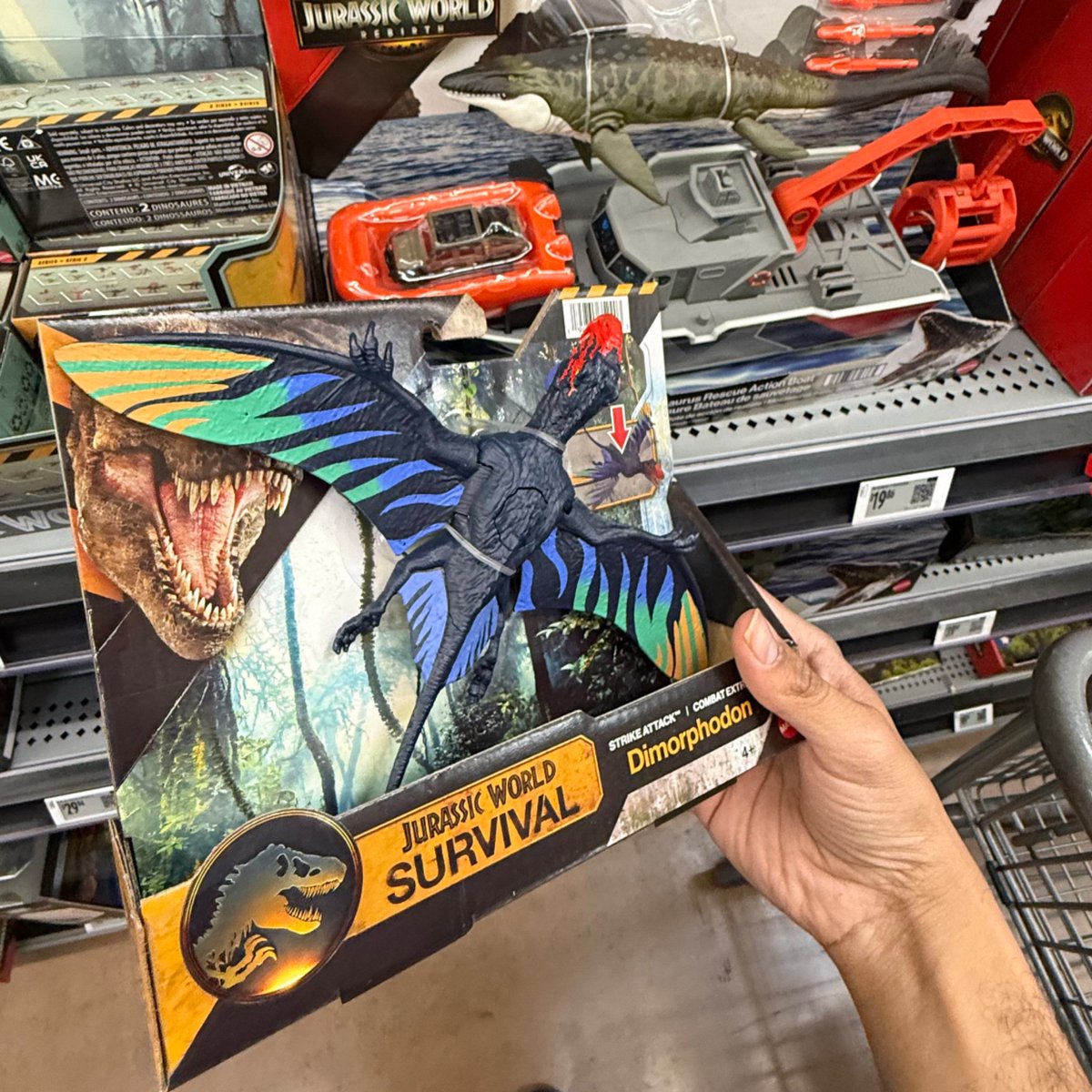 MuzzShaik07's tweet photo. New Survival line items were in full force and I must say the colors on the Dimorphodon are really popping https://t.co/0rQbZsgDjZ