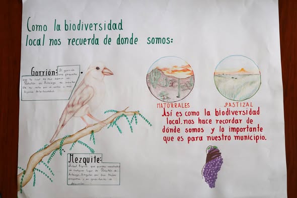 El_Clarinete's tweet photo. Impulsa Pabellón de Arteaga el talento juvenil con concurso de dibujo y cartel ambiental #Pabe https://t.co/9cQ5ycGeAd https://t.co/57ONZLQJAk