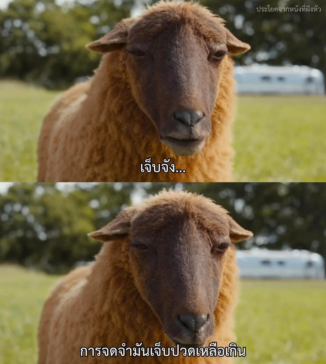 MVDeepQuotes's tweet photo. 1 2 3 แล้วลืม...
.
.
.
เรื่อง The Sheep Detectives https://t.co/L4xcpXHRBf