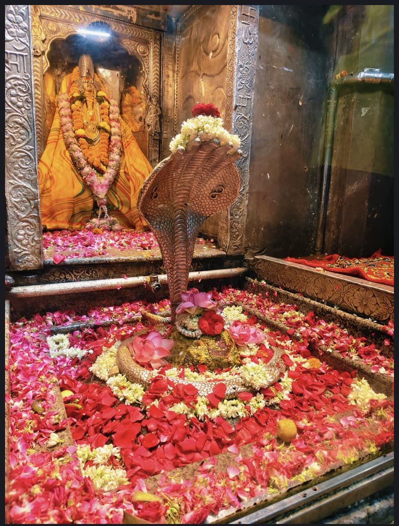 12Jyotirling's tweet photo. श्री ॐकारेश्वर ज्योतिर्लिंग मंगला आरती श्रृंगार | 04.06.2026

Shri Omkareshwar Jyotirlinga Mangala Aarti Shringar | 04.06.2026 https://t.co/Aga8LUei6R