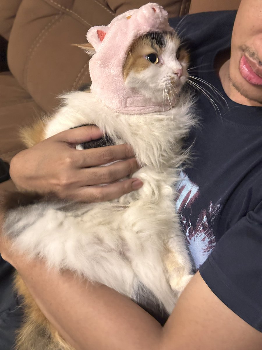 halo aku kucing tweet media