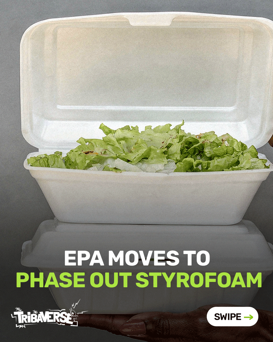 tribaverse's tweet photo. Ghana's Environmental Protection Authority (EPA) has announced a nationwide ban on the production, importation, distribution, sale, and use of polystyrene foam products, commonly known as Styrofoam, effective 1 January 2027. https://t.co/dA5PqNGFZE