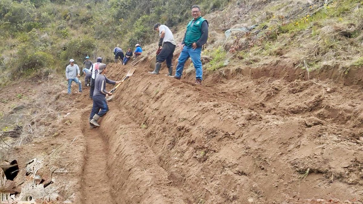 agroruralPER's tweet photo. #LaLibertad 🌱 | Un total de 85 familias productoras de la provincia de Bolívar avanzan en la construcción de terrazas de formación lenta, una práctica que permite reducir la erosión de los suelos agrícolas y mejorar el rendimiento de los cultivos alimenticios de la zona. https://t.co/4x0mx8k2qx