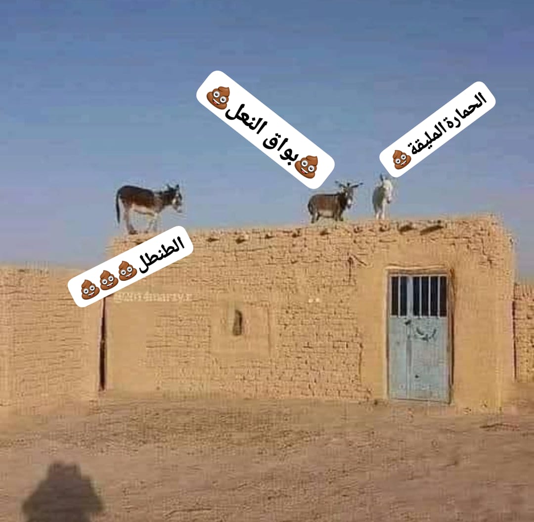Faraqed's tweet photo. عساكم تاخذون اعدام ياعيال الكلاب
انتو ومعزبكم الخرة عميل اليهود
هذي مخططات عمامكم اليهود
هذا اللي صارلكم سنين تخدمونه ومجندكم مثل الحمير
وعسى البقر اللي يلحسون جواتيكم وناطرينكم تقرقشونهم برشاوي ومناصب يتعلقون مثل الذبايح معاكم يالخنازير https://t.co/Q15kw8th7X