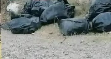 Gordotucumano00's tweet photo. @rottendotcam No sino aparecen primero desparramadas en diferentes bolsas de consorcio https://t.co/agjLL6arWv